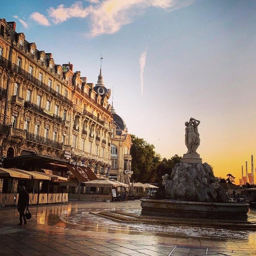 Le Cocon Montpellierain By Smartappart Montpellierain - Jardin Proche Corum Buitenkant foto